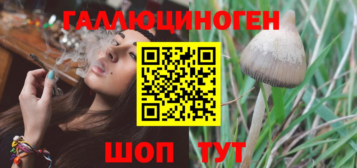 Галлюциногенные грибы GOLDEN TEACHER Гулькевичи