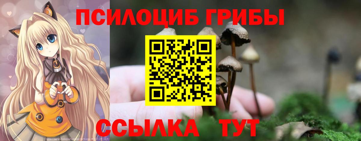 Псилоцибиновые грибы Psilocybine cubensis  Вход с VPN  наркотики  Гулькевичи 